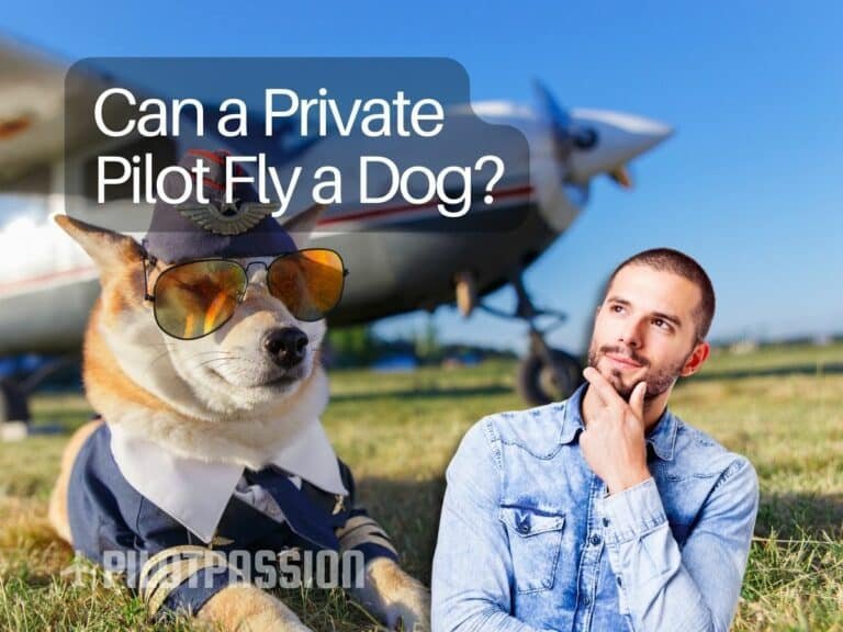 Can a Private Pilot Fly a Dog